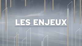 Les enjeux