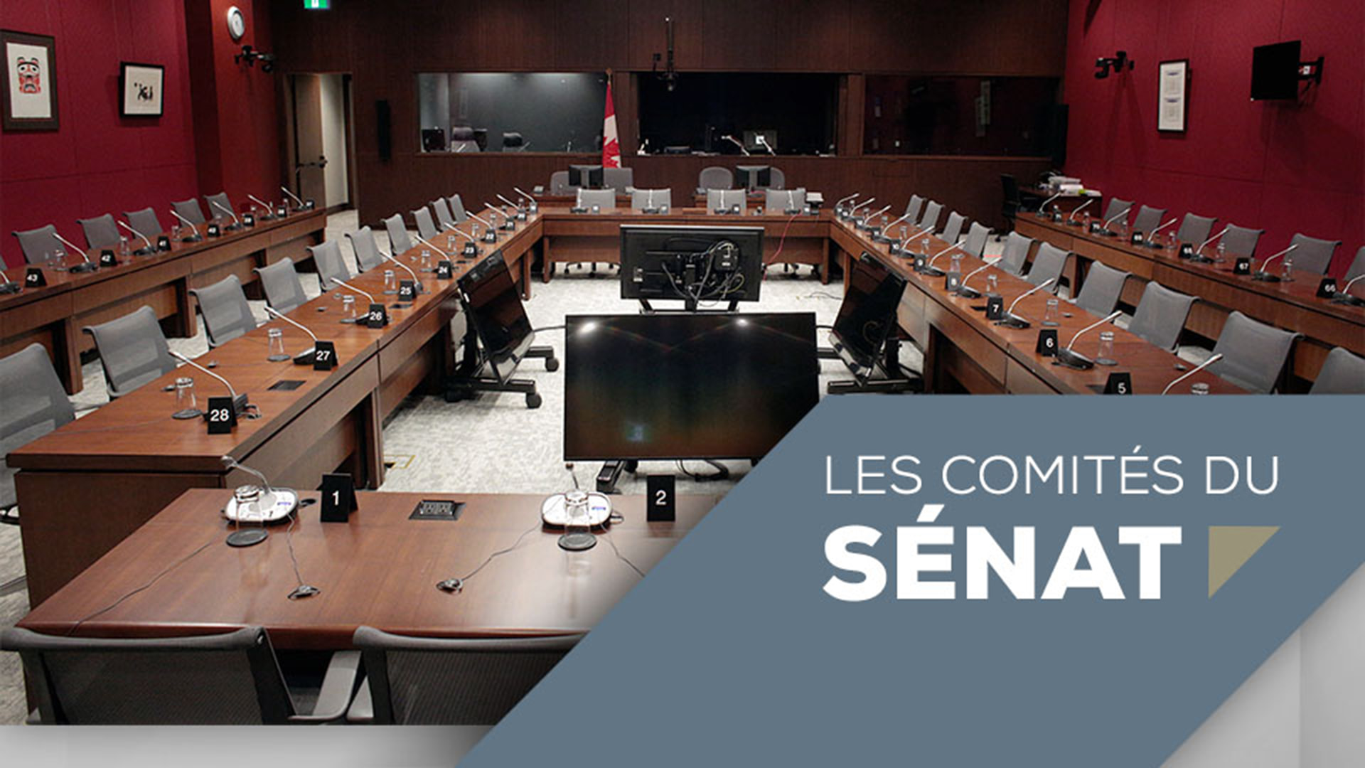 Les comités du Sénat