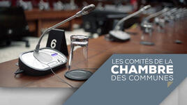Les comités de la chambre des communes